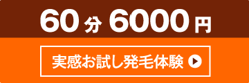 60分6,000円
実感お試し発毛体験
