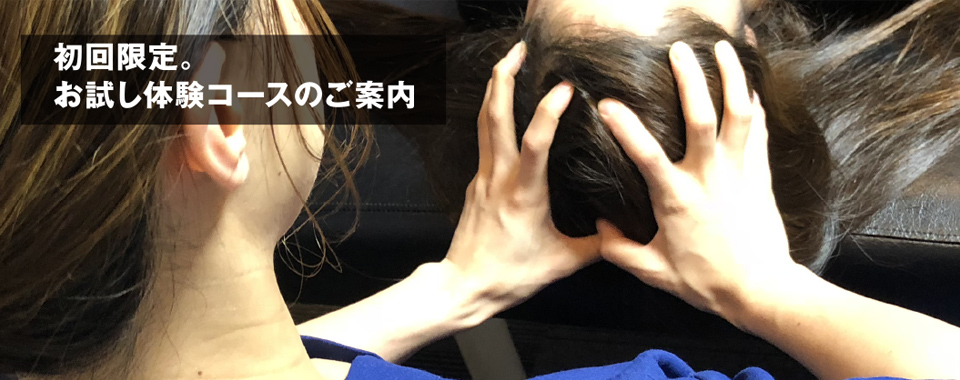 初回限定。お試し体験コースのご案内